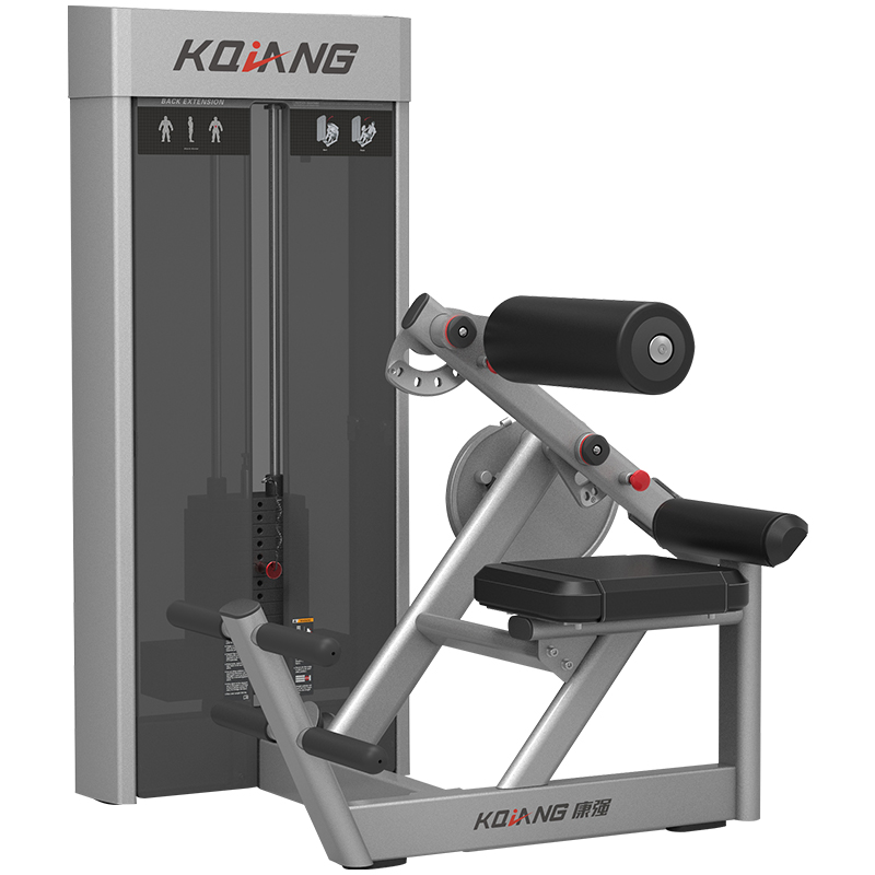 康强商用健身房坐姿后仰腰背训练器8010专用力量器械无氧健身器械