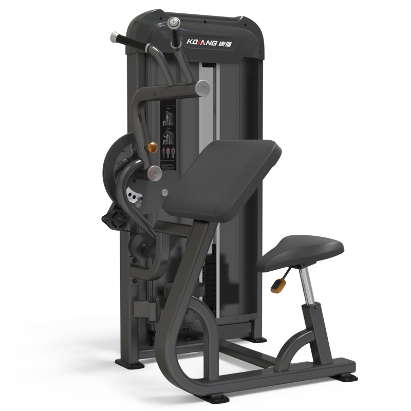 康强二头肌/三头肌扩展训练器G9027商用健身器材健身房团购综合训练器