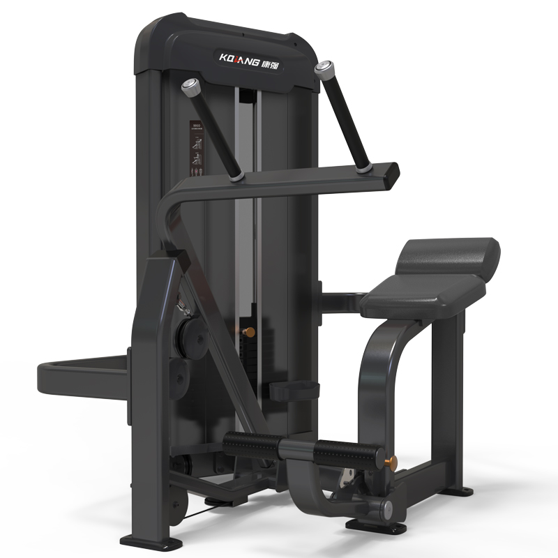 康强坐式背肌训练器G9010商用健身器材健身房团购综合训练器